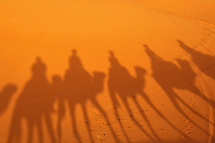 Marokko: Erg Chebbi Woestijn